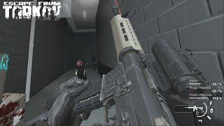 Left 4 Dead 2 Expert Gameplay AR-15 Custom EFT MW2019 Anim Mod | Links in Description