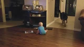 Video of baby playing with dog goes viral for Pennsylvania family