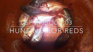 Menpachi Fishing! (LGF EP03: Hunting for Reds)