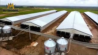 Business Low Cost Prefab Modern Automatic Chicken Poultry Farm For Sale