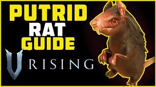 How to Get and Fight the Putrid Rat | V Rising 2022