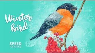 Speed painting. winter bird
