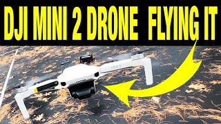 DJI Mini 2 Drone First Flight 4K Video WOW 2022