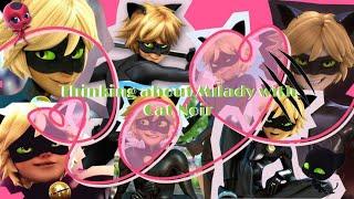 Thinking about Ladybug with Cat Noir (a playlist)