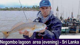 Negombo lagoon Area Evening - Sri Lanka!!!