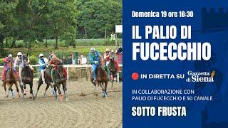  Palio di Fucecchio 2024 - il giorno del Palio