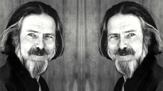 Alan Watts   Web of Life