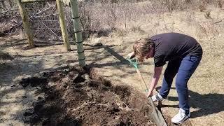 Finishing touches to our fence at Hogg Haven Family Farms!