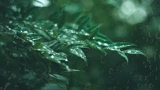 1 Hour Jisoo - Flower | Relaxing Sleep Music with Rain Sounds - Peaceful Piano Music