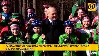 "Как будто съели мышь или крысу": Лукашенко шокировал особым подходом к детям