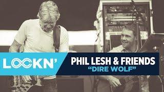 Phil Lesh & Friends & Infamous Stringdusters - "Dire Wolf" | LOCKN' 2016 | Relix