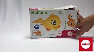 Ballena  - Antex