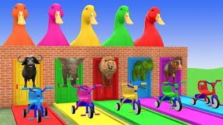 Long Slide Game With Elephant Gorilla Buffalo Hippopotamus Tiger   3d Animal Game   Funny 3d Animals