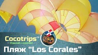 Пляж Los Corales | Отели Whala Bavaro | Secrets Royal Beach Punta Cana | Now Larimar Punta Cana 5