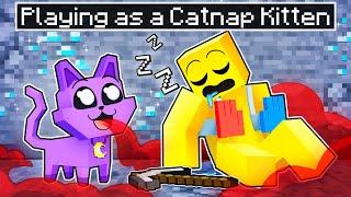 Playing as a CATNAP KITTEN in Minecraft!