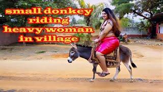 small donkey riding heavy woman in village