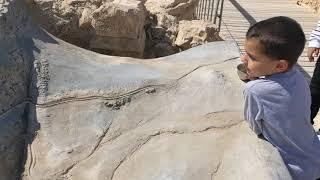 Climbing Masada- the Roman Ramp with Kids