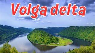 Volga delta