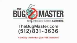 The Bug Master