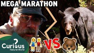 BEARS VS HUMANS!  | The Bear Whisperer - MEGA MARATHON | Curious?: Natural World