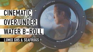 LUMIX GH5: Cinematic UNDERWATER B-ROLL: 1st Impressions Review of Meikon Seafrogs Waterproof Housing