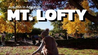 MT. LOFTY - THE BEST AUTUMN SPOT IN ADELAIDE