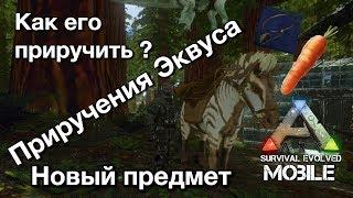 Ark survival evolved mobile | Приручаем Эквуса | Новый предмет ! | Обзор обновления !