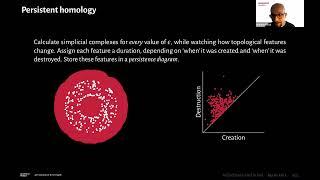 A Good Scale Is Hard To Find: Shape Analysis Using Topology