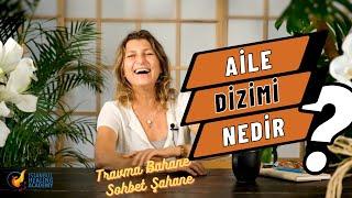 Aile Dizimi Nedir - Travma Bahane Sohbet Şahane B#01 - istanbulhealingacademy.com