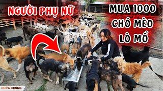 Sự thật về người phụ nữ đi mua gần 1000 con chó mèo từ lò mổ về nuôi