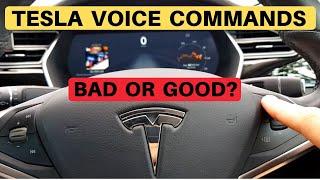 Tesla Voice Commands Test - GOOD OR BAD?