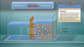 Diffusion, Osmosis and Dialysis IQOG CSIC