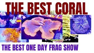 THE BEST CORAL at THE BEST ONE DAY FRAG SHOW (Frag Farmers Market 2025)