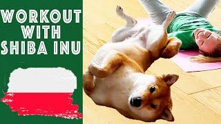 WORKOUT WITH SHIBA INU  [LIVING IN POLAND] 2023