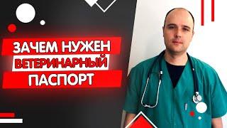 Ветеринарный паспорт для кошек и собак