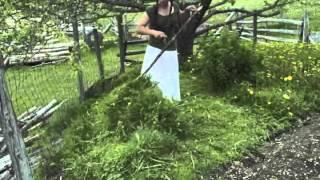 Trimming grass with a Scythe