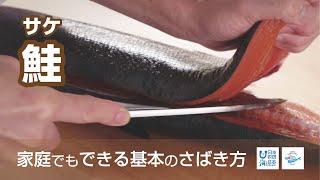 鮭（さけ）のさばき方 - How to filet Salmon -｜日本さばけるプロジェクト（海と日本プロジェクト）