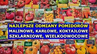 Odmiany Pomidorów Najlepsze i Nowości Malinowe, Koktajlowe, Szklarniowe, Wielkoowocowe, Samokończące