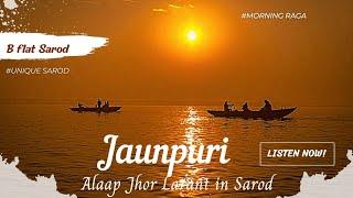 Raga Jaunpuri: Alaap Jhor Larant in Sarod #morningmotivation #morningraga #joydeepmukherjee