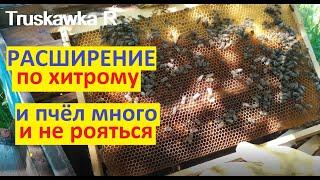 Пчёлы. Разовое расширение семей. Самый простой способ прибавить расплоду. #TruskawkaR
