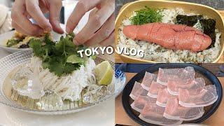 여름 소면 요리, 긴자에서 밥 먹고 리모와 수리&실바니안 파크 | 일본 도쿄 브이로그