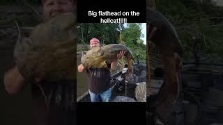 Big flathead catfish with the hellcatrod!!!