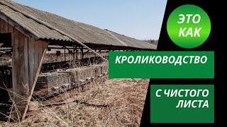 Типичные ошибки начинающих кролиководов. Субботняя встреча в Центре МИРА #Макляк #Макрол