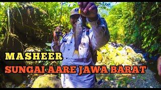 GOKIL‼️Ternyata Di Pedalaman Sungai Aare Terdapat Ikan Masheer