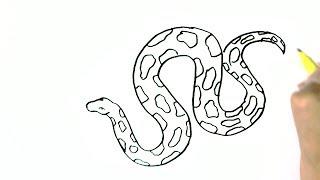 How to draw a Python, Big snake - in easy steps for beginners