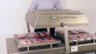 Multivac P600 Vacuum Packaging Machine Overview