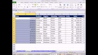 Slaying Excel Dragons Book #41: Blanks (Empty Cells) or Text in Number Fields PivotTable Trouble