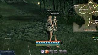 Blade & Soul! Funny Moments! What Have You Got! How Do You Dance!