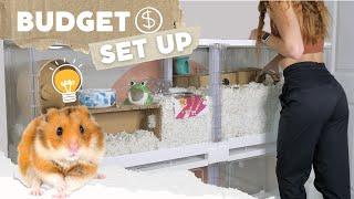 How to Set up a Hamster Cage on a BUDGET 