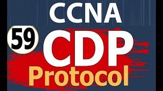 شرح الشبكات_CDP protocol لاكتشاف اجهزه الشبكة_شرح CDP _ شرح CDP protocol _شرح بروتوكول CDP